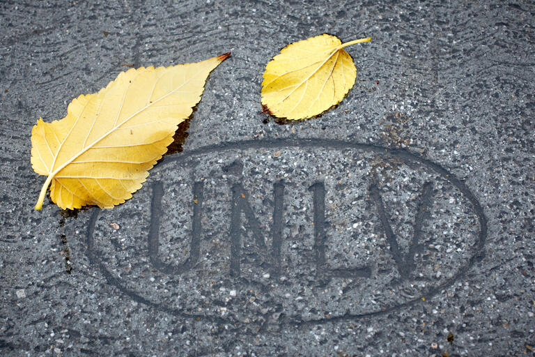 Yellow leaves by U.N.L.V. imprint