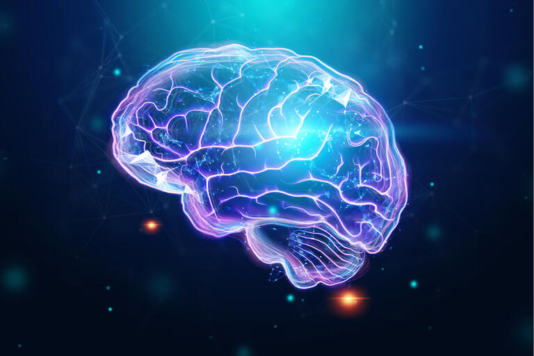 A 3D illustration of the human brain.