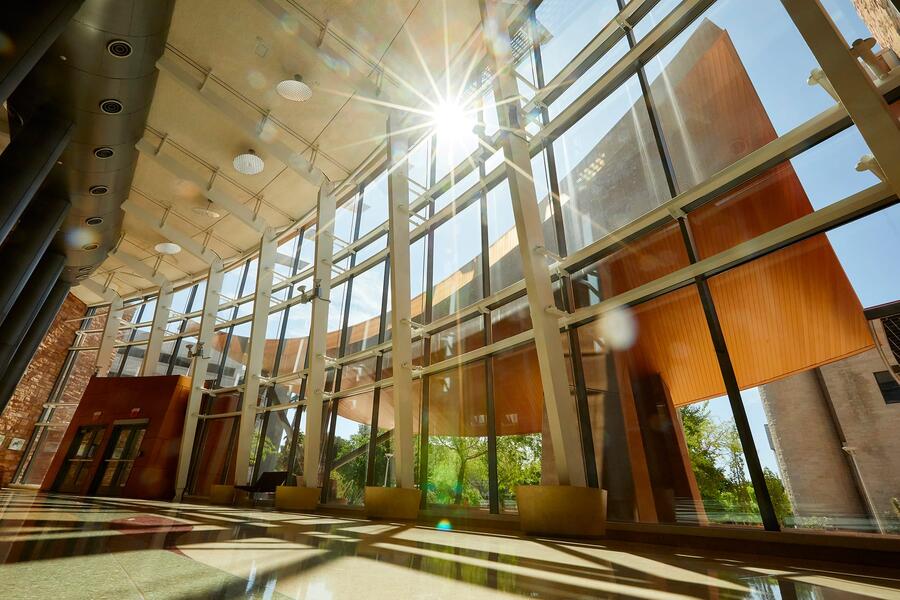 frog view of a building with high ceilings